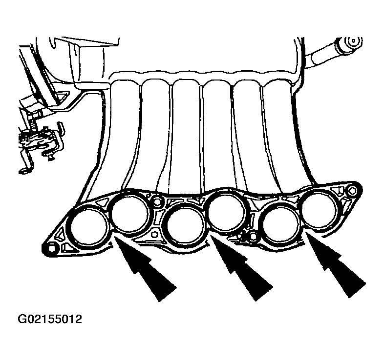 G02155012