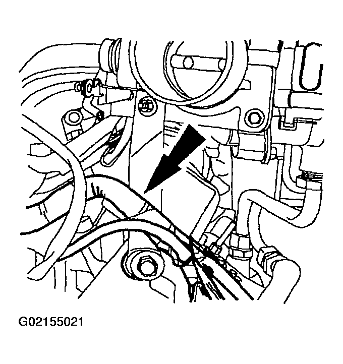 G02155021