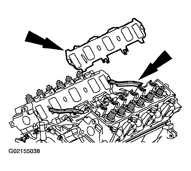 G02155038
