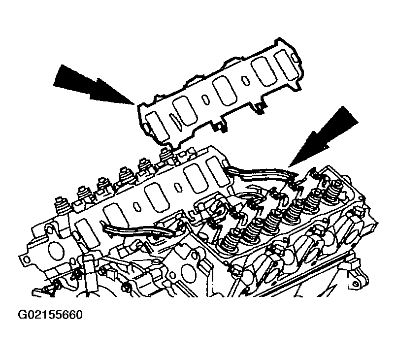 G02155660