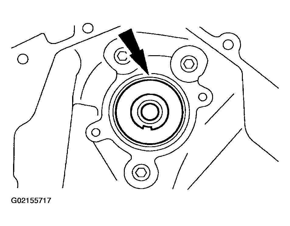 G02155717