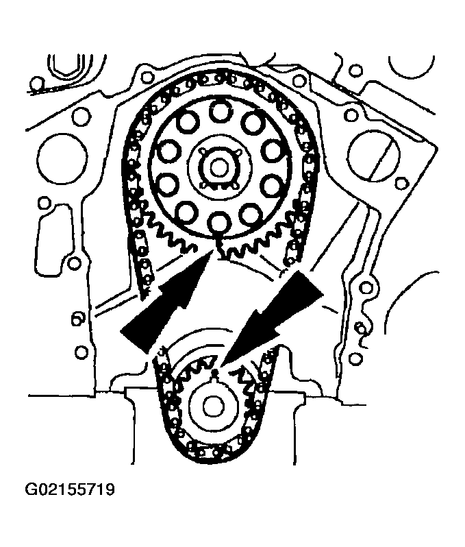 G02155719