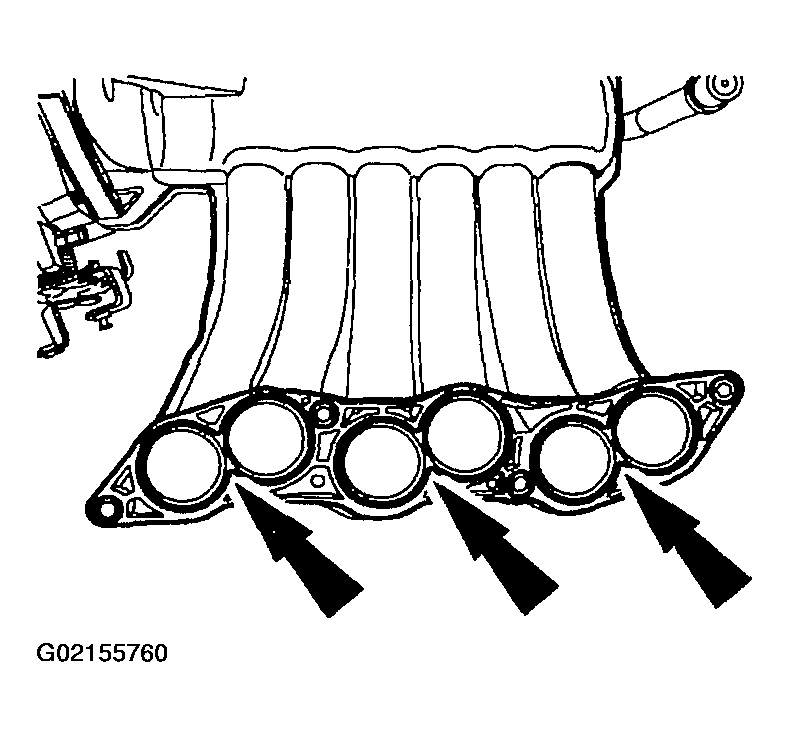 G02155760