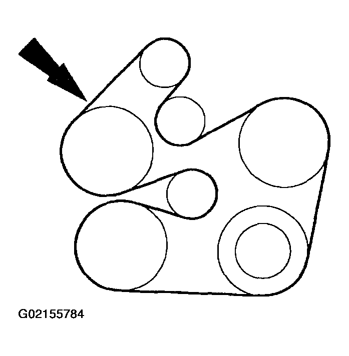 G02155784