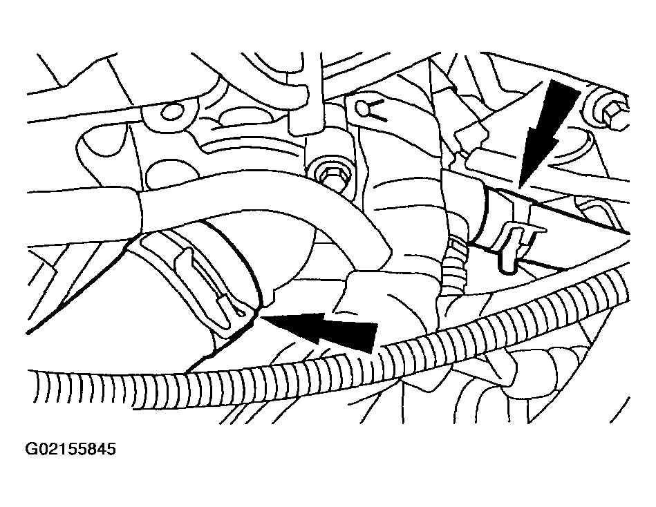 G02155845