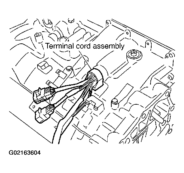 G02163604