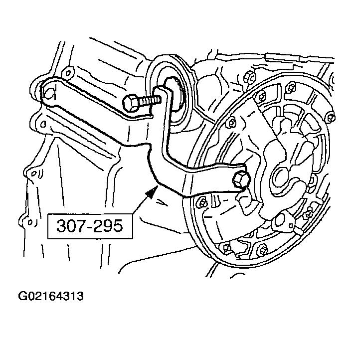 G02164313