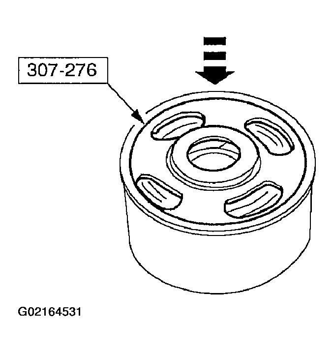 G02164531