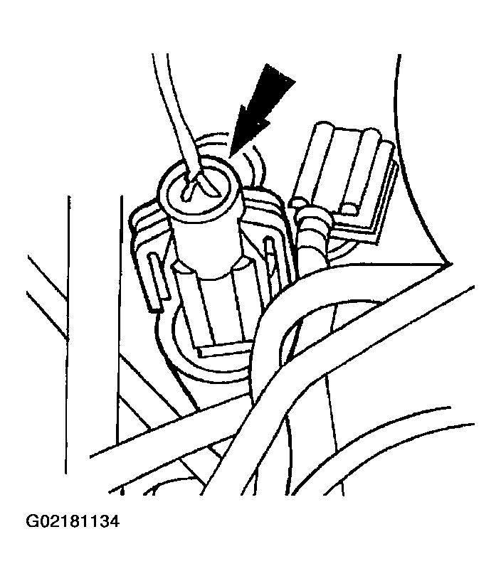 G02181134