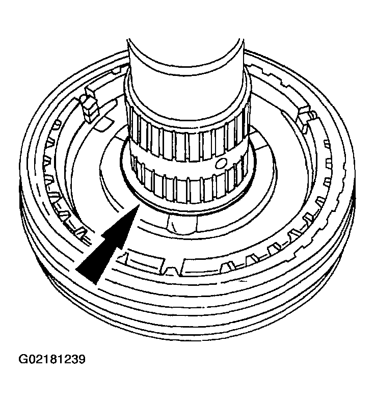 G02181239