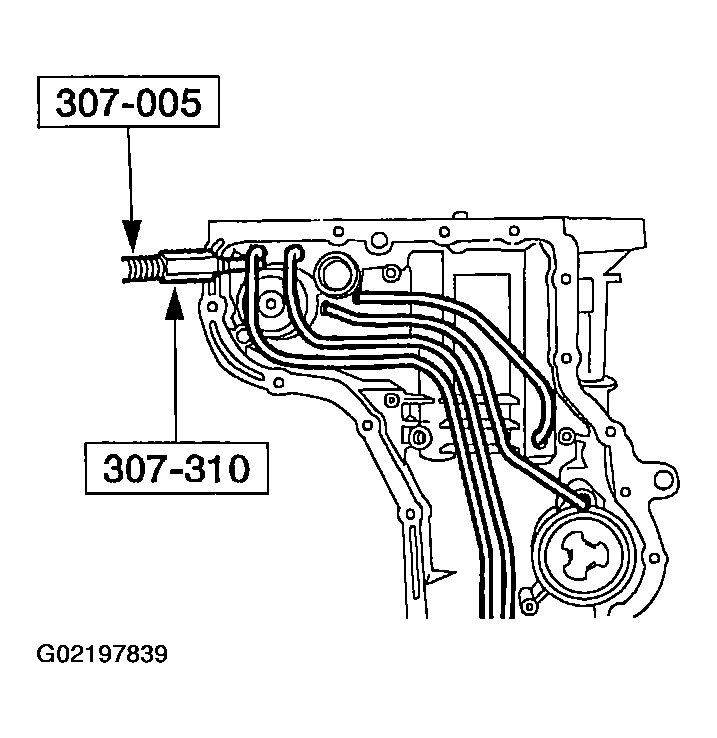 G02197839