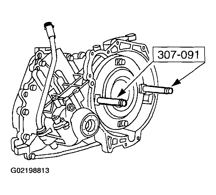 G02198813