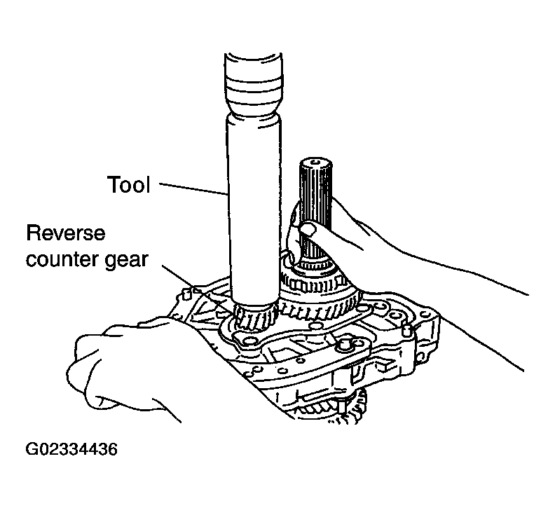 G02334436
