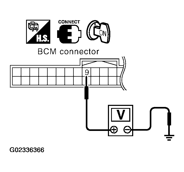 G02336366