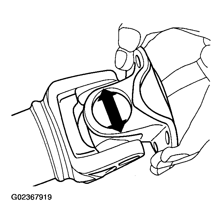 G02367919
