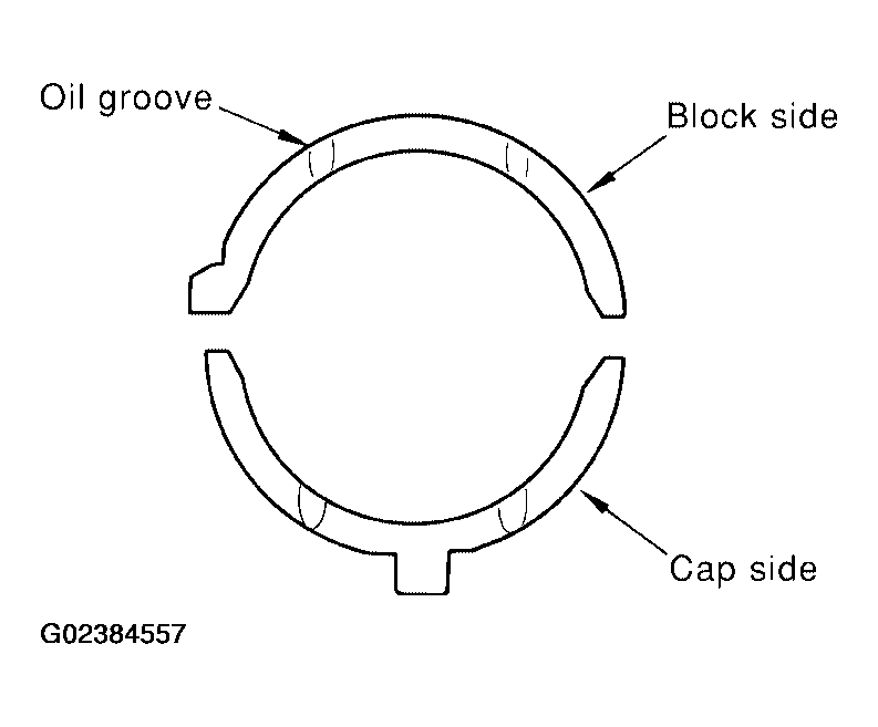 G02384557