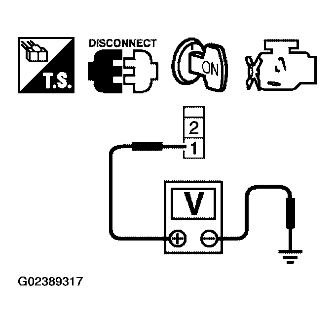 G02389317