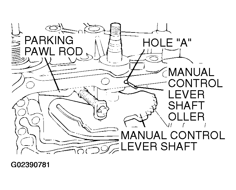 G02390781