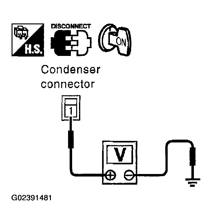 G02391481