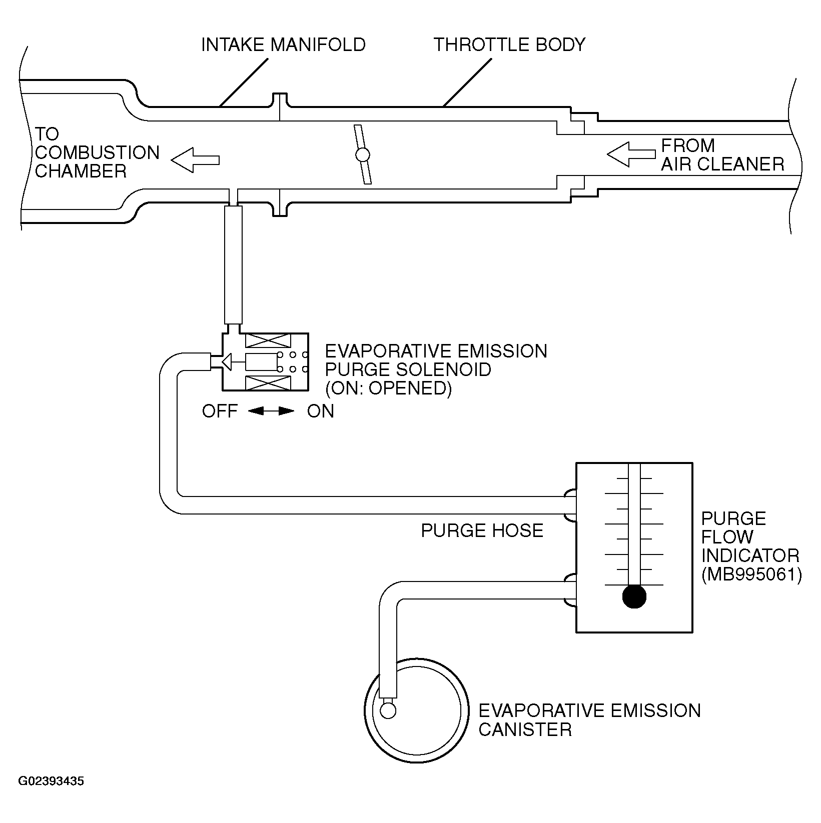 G02393435