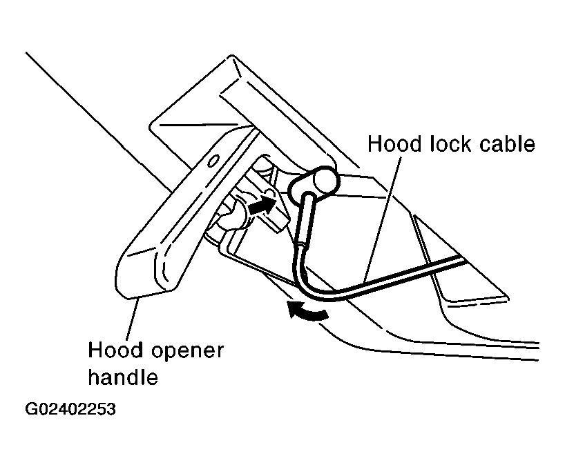 G02402253