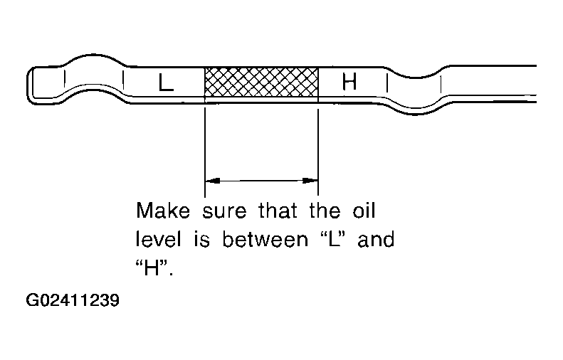 G02411239