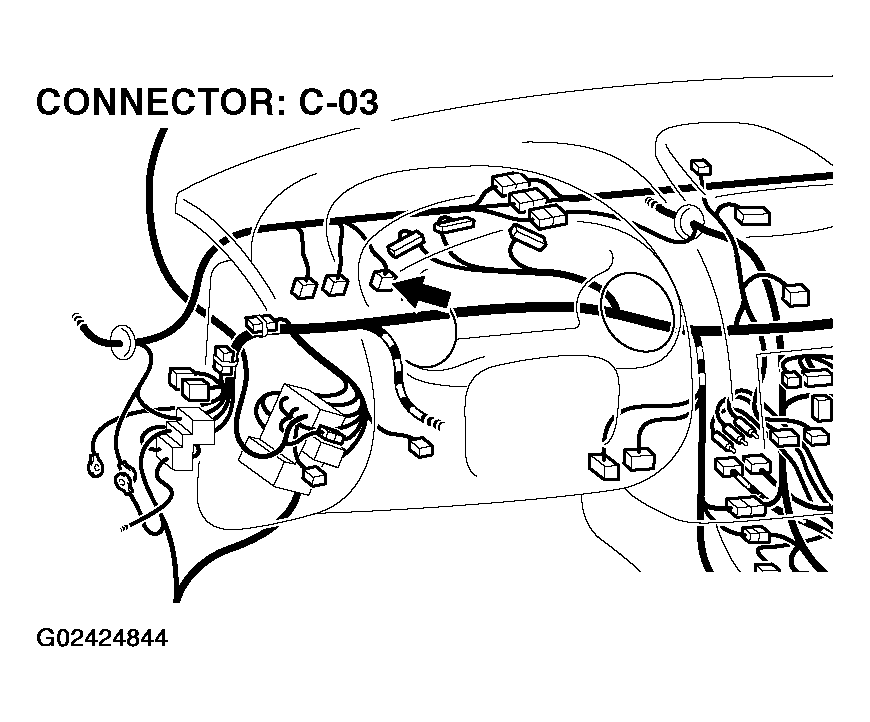 G02424844
