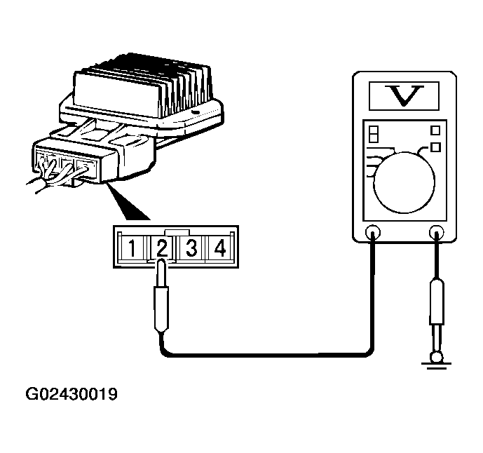 G02430019