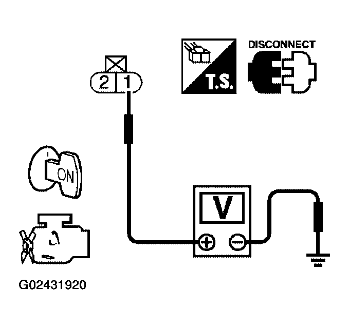 G02431920