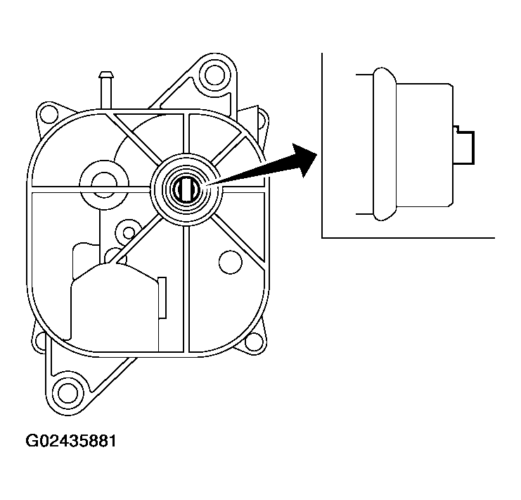 G02435881