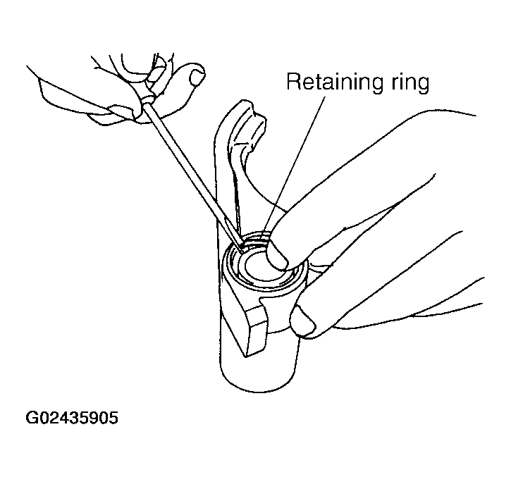 G02435905