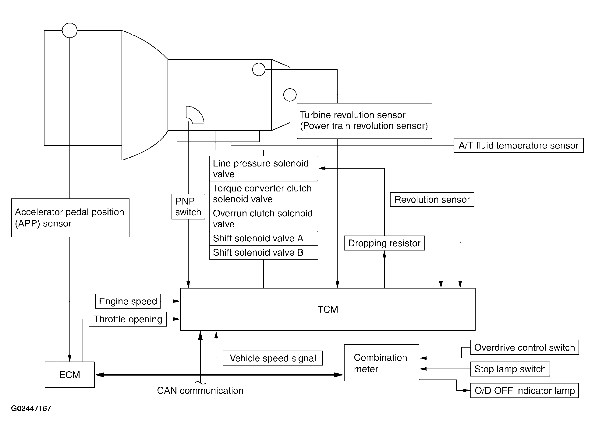 G02447167