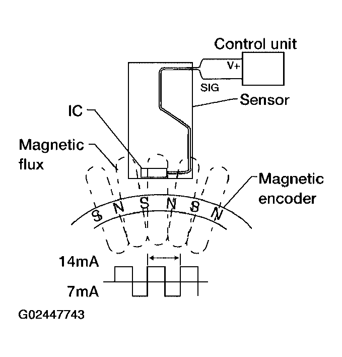 G02447743