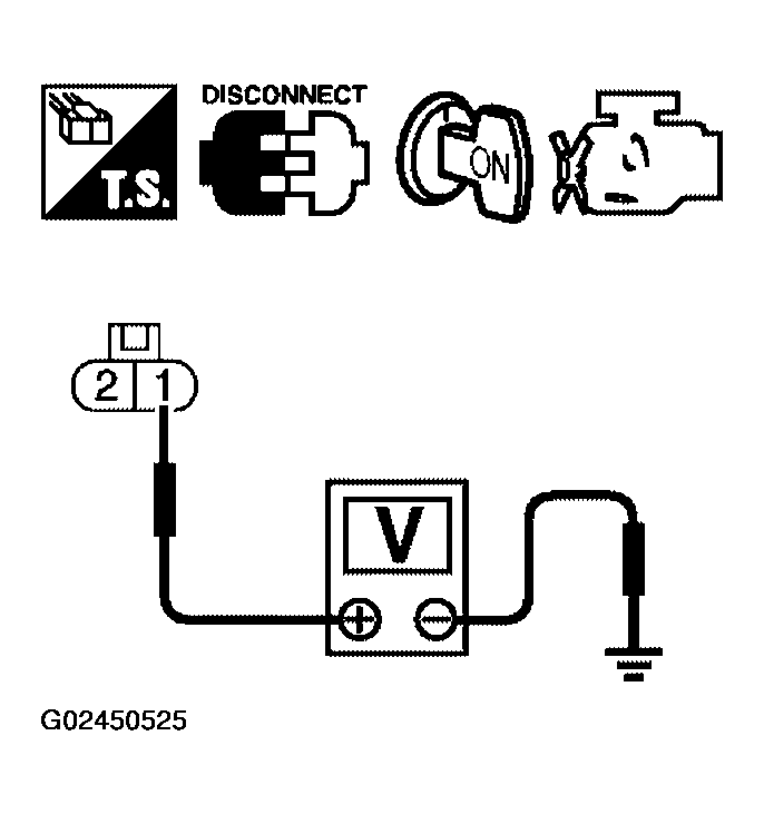 G02450525
