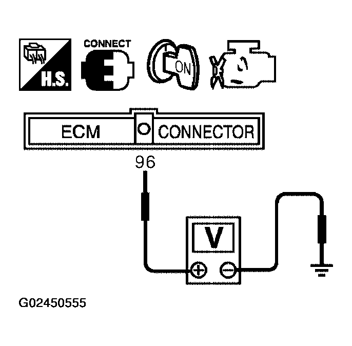 G02450555