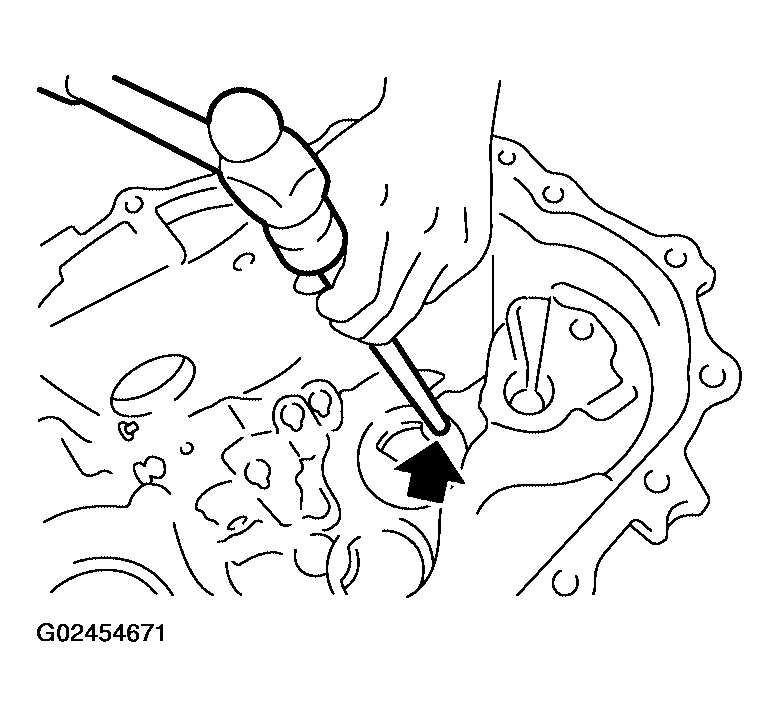G02454671