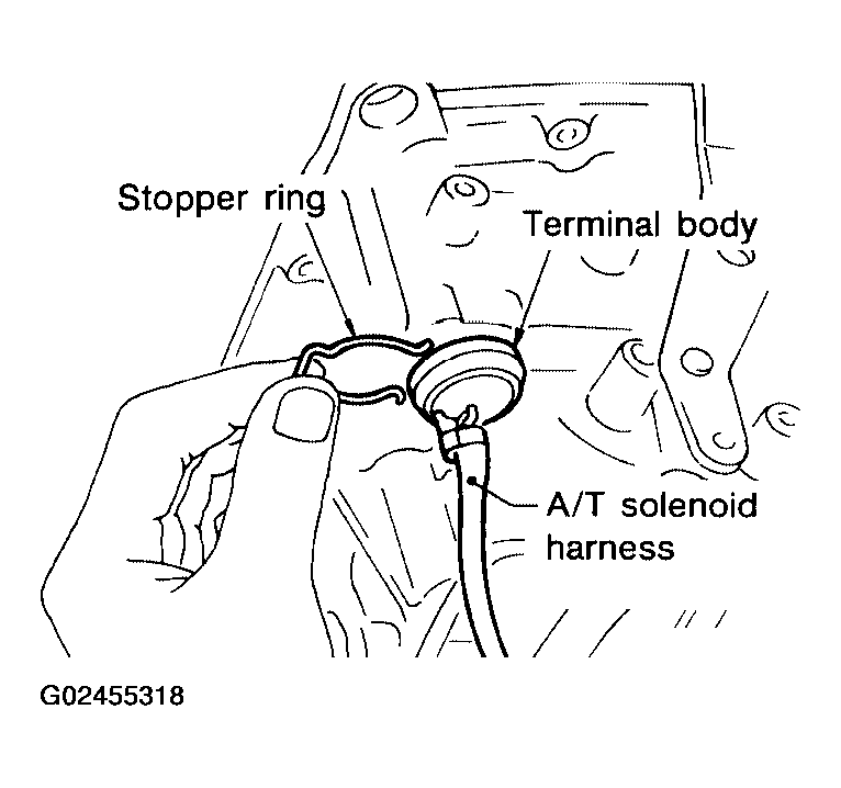 G02455318