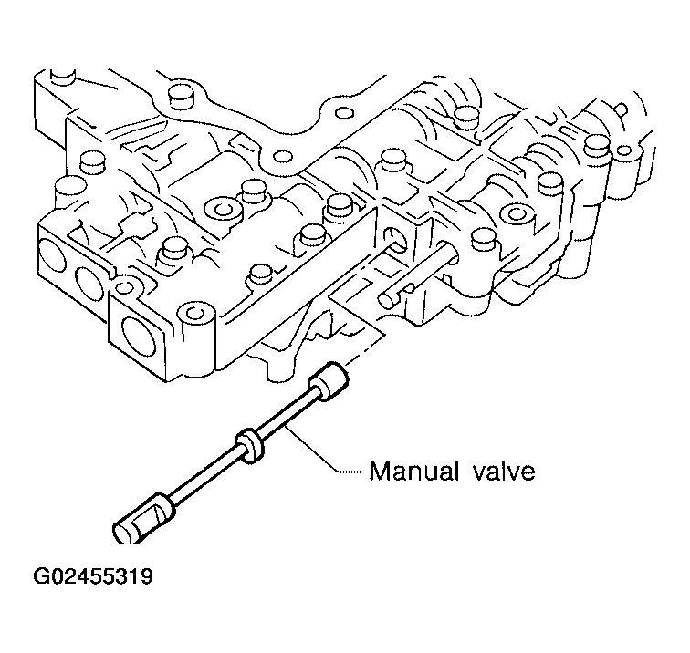 G02455319