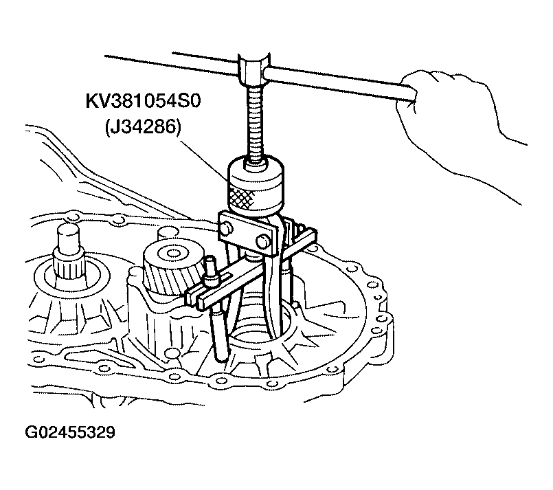 G02455329
