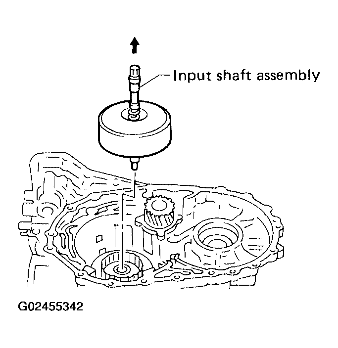 G02455342