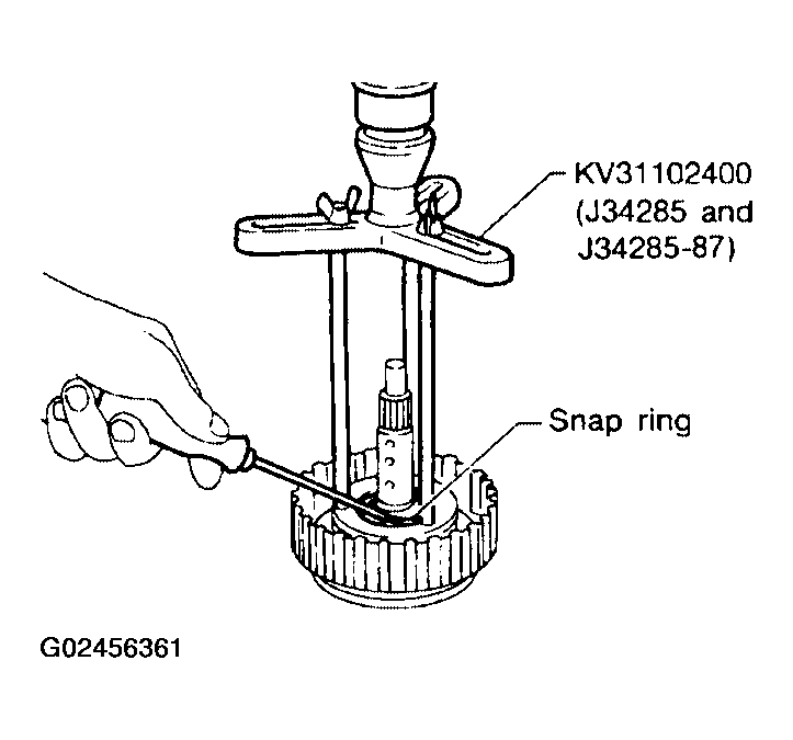 G02456361