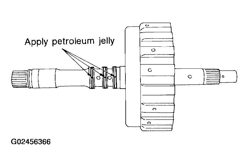 G02456366