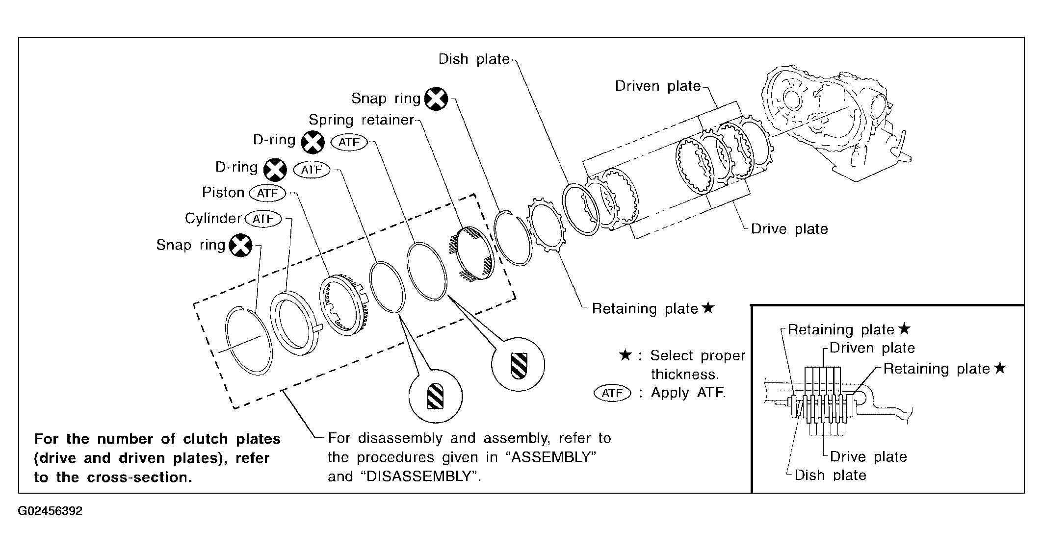 G02456392