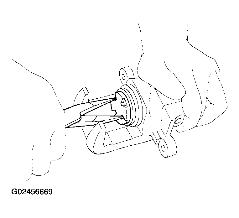 G02456669
