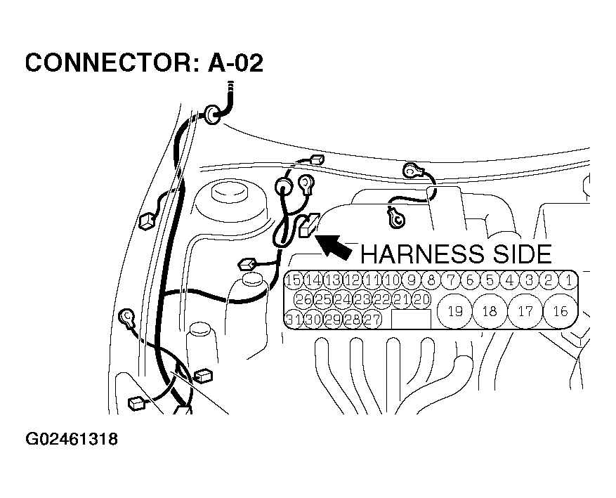 G02461318