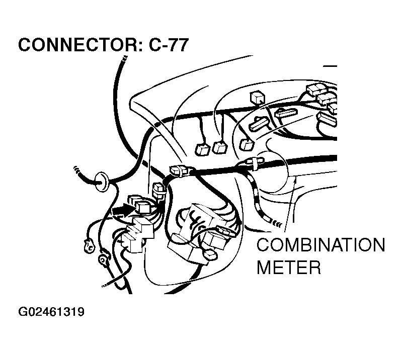 G02461319