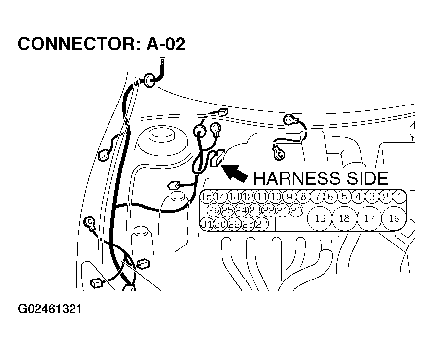 G02461321