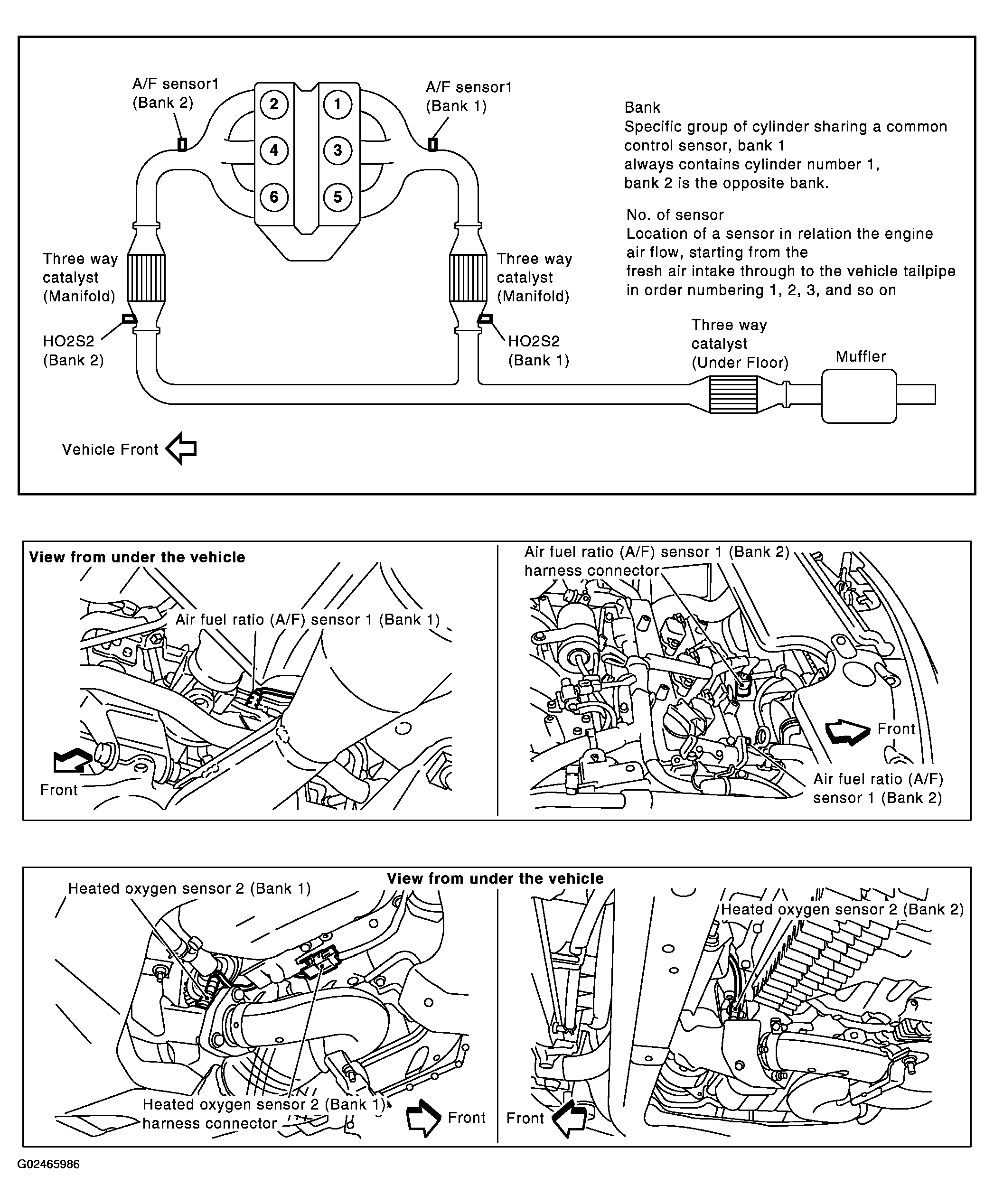 G02465986