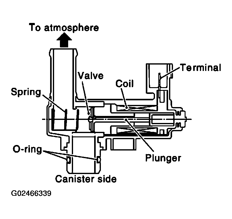 G02466339