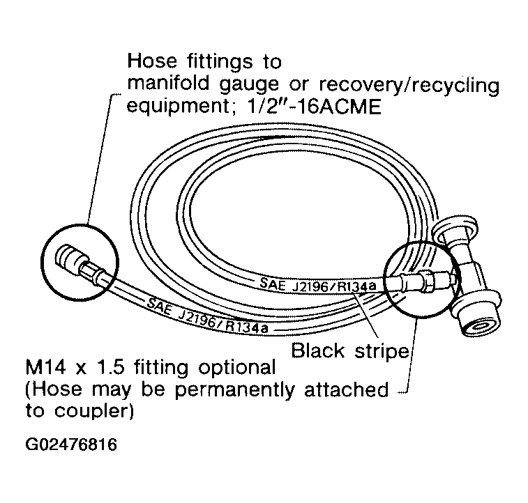 G02476816